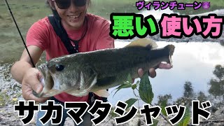 サカマタシャッド最新の悪用術を釣りうまYouTuberに実釣解説してもろた！【陸っぱりサイトフィッシング・感度びんびん釣果隊コラボ】リザーバーバス釣り