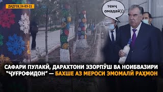 ДИДГОҲ|24 03 21|Сафари пулакӣ, дарахтони эзорпӯш ва ноибвазири “ҷуғрофидон”—бахше аз мероси Э.Раҳмон