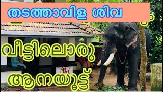 Family Vlog / Aanayoottu/ Elephant kerala/  home tharavadu veedu / Elephant in home