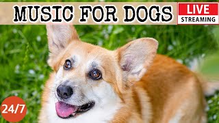 [LIVE] Dog Music🎵Anti Separation Anxiety Music for Dog Relaxation! 🐶💖Dog Calming Sleep Music🎵💖