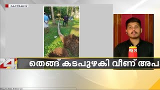 തെങ്ങ് കടപുഴകി വീണ് അപകടം; യുവാവിന് ദാരുണാന്ത്യം