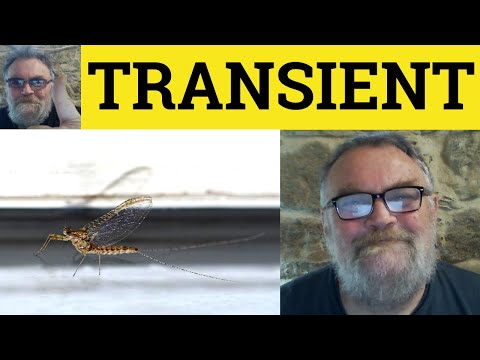 What are transient customers?