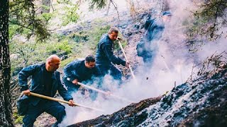 ხანძარი ბორჯომის ტყეში