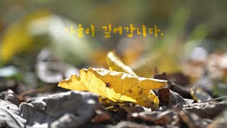 10~12월 보고싶은 View(가을산책 autumn walks)