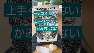 【今日の一枚】節制(逆位置)🍀何となくかみ合わない #あなたへのメッセージ #占い #タロットカード