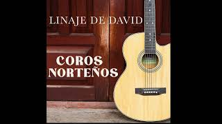 Linaje De David - Si Yo Se