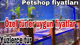 Akvaryum Balık türleri ve güncel fiyatları/Özel tür akvaryum balıkları/Bandırma su dünyası ziyaretim