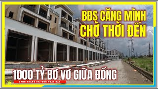 Á ! BĐS CĂNG MÌNH CHỜ THỜI | 1000 TỶ BƠ VƠ GIỮA ĐỒNG | Cần Giuộc Long An | Vùng Ven Sài Gòn