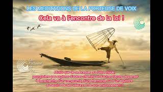 LES MEDITATIONS DE LA PORTEUSE DE VOIX : Cela va à l'encontre de la loi !