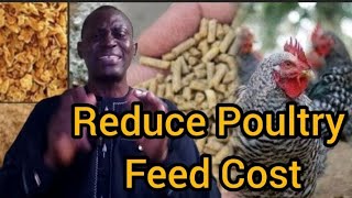 How to Make Poultry  Feed Using Local Raw Materials and Waste