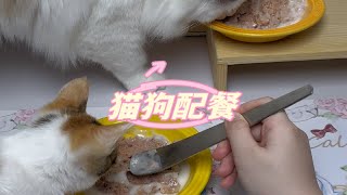 猫狗配餐｜歌吉诗，PUPIL 羔羊猪牛胡萝卜