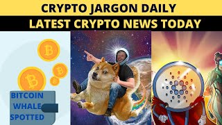 12K BITCOIN DRAINED| DAILY CRYPTO HEADLINES - CRYPTO JARGON DAILY | LATEST CRYPTO   UPDATE TODAY