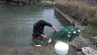 两天没收的拦河网，刚到河边一看愣住了，收网时全是大货太惊喜了两