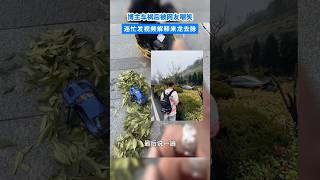 博主車禍後被網友嘲笑，連忙發視頻解釋來龍去脈，網友：車主的心態真好。