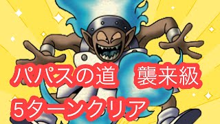 【DQMSL】パパスの道　襲来級　5ターンクリア