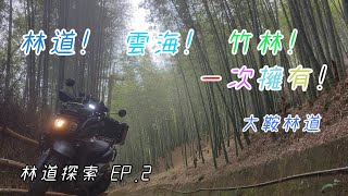 【林道阿全】林道!竹林!雲海!在大鞍林道裡一次滿足!