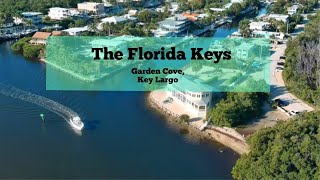 The Unique Mangrove Forest of the Florida Keys. John Pennekamp State Park