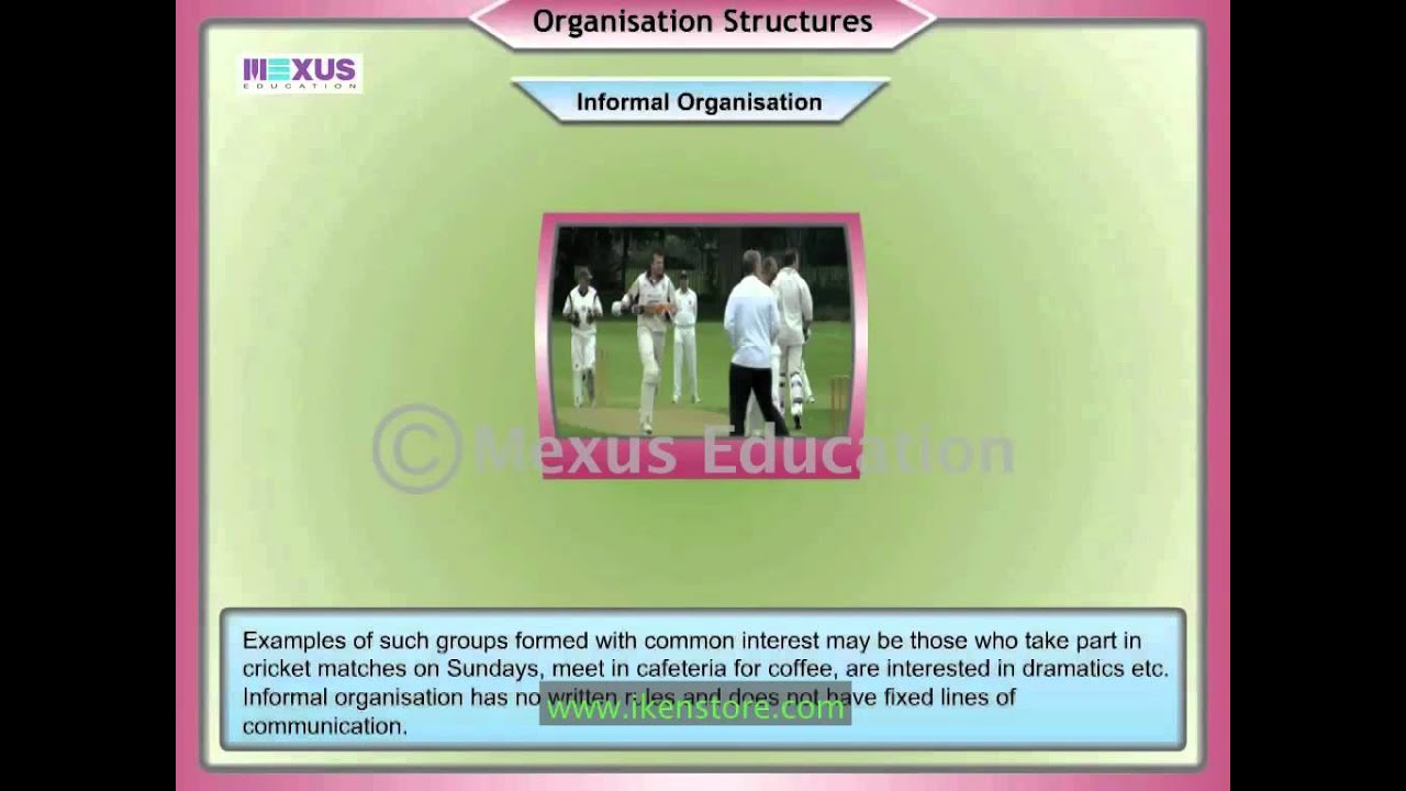 Organisation Structures Youtube