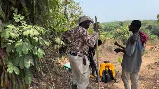 Farming in Ghana, Clearing Coco Portion of the 50 Acre Farm ￼