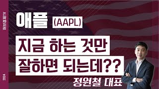 애플 (AAPL) - 지금 하는 것만 잘하면 되는데??