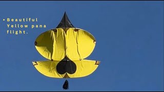 PatangBazi in Canada 2022 by Laval Kite Club Montreal Canada 🇨🇦 || Beautiful yellow suit flight. ||