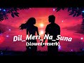 Dil_Meri_Na_Suna  (Slowed+reverb)