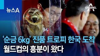 ‘순금 6kg’ 진품 트로피 한국 도착…월드컵의 흥분이 왔다 | 뉴스A