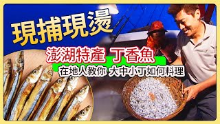 澎湖特產！丁香魚現捕現燙~在地人教你 大中小丁 如何料理│《經典好節目》大特寫_精選版(回顧系列)