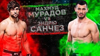 UFC 257. Makhmud Muradov vs Andrew Sanchez  2021