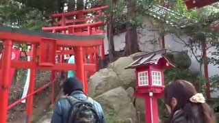 パワースポット　奥の院　天開稲荷神社　天に道が開ける開運の神様