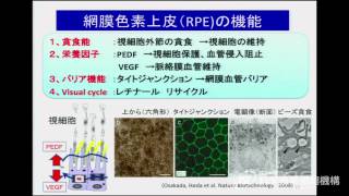 再生医療支援人材育成ワークショップ_高橋政代氏講演「iPS細胞の臨床応用」2/3