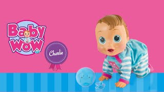 BABY WOW CHARLIE - CONHECENDO O PRODUTO