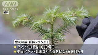 「森林ファンド」1000億円規模で企業の脱炭素支援(2022年2月14日)