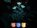 let's build Beautiful Flower Animation|HTML CSS JS