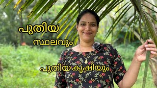 പുതിയ സ്ഥലവും പുതിയ കൃഷിയും❤️# village life# village farming#farming #miyafarmkitchan vlog