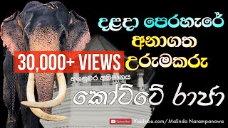 Sri Lankan Tusker Kotte Raja | අගනුවර අභිමානය කෝට්ටේ රාජා හස්තියා