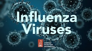 Influenza Viruses by James McSharry, PhD