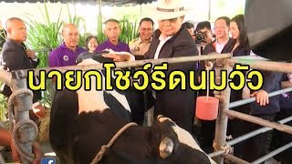 นายกฯนำทีมครม.สัญจร ราชบุรี-กาญจนบุรี อารมณ์ดีรีดนมวัว ลั่น \