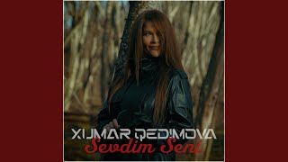 Sevdim Seni