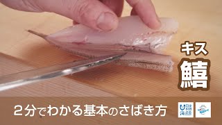 鱚（きす）のさばき方 - How to filet Sand Borer -｜日本さばけるプロジェクト（海と日本プロジェクト）