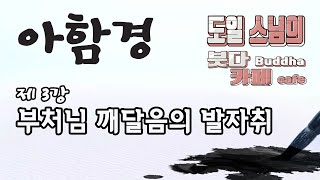 [도일스님의 붓다카페] 아함경 – 3강 부처님 깨달음의 발자취