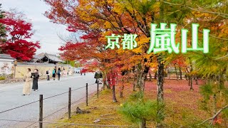 2021年11月30日（火）秋寒の京都嵐山の紅葉を散策🍁 Walking around Arashiyama 4K