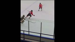 Brendan Gerber Goal - Waterloo Wolves vs NOHA (2023 OHL Cup)