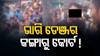 ଭାରି ଡେଞ୍ଜର କଙ୍ଗାରୁ କୋର୍ଟ  !    | Odisha Reporter