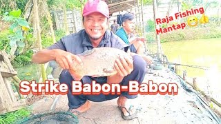 Mancing di Raja Fishing Strike Babon-Babon