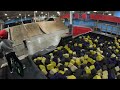 a day with the boys at joyride 150 in markham ontario