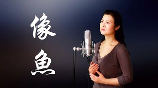 像魚  -  陳敏 #女中音版