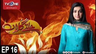Jaltay Gulab | Episode 16 | TV One Drama | 25th November 2017