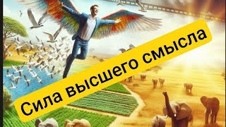 Как найти высший смысл в бизнесе