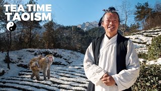 Taoist Master on Power of Mindfulness - Beginners Guide to Meditation | Tea Time Taoism